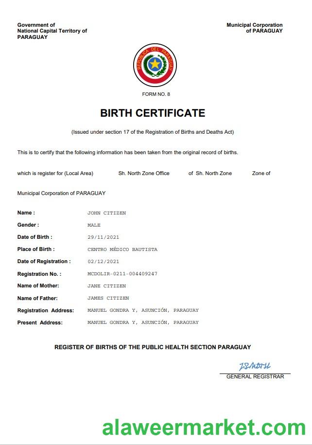 Paraguay birth certificate Word and PDF template